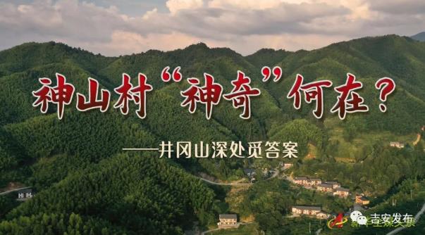 <a href=/tour/jd/86.html target=_blank class=infotextkey>神山村</a>的神奇