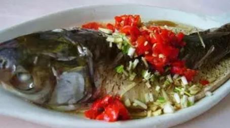 荷包玻璃魚(yú)
