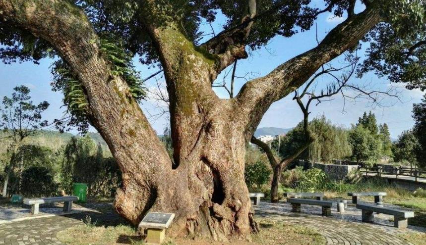 陂下古村