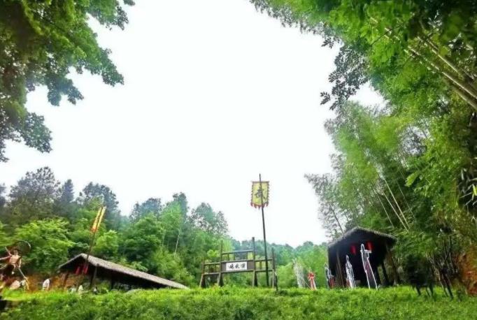 花臣武寨