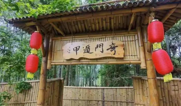 花臣武寨