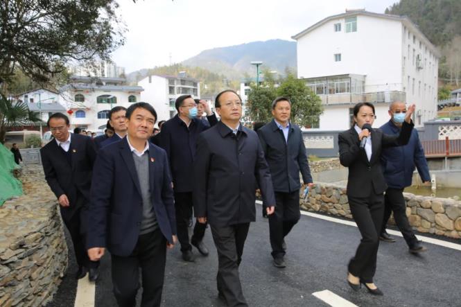 廖東生市長等井岡山領(lǐng)導(dǎo)陪同王書記視察半畝方塘度假村