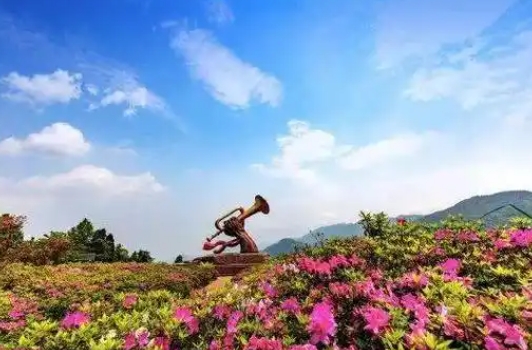 井岡山<a href=/tour/route1/7.html target=_blank class=infotextkey>杜鵑山</a>
