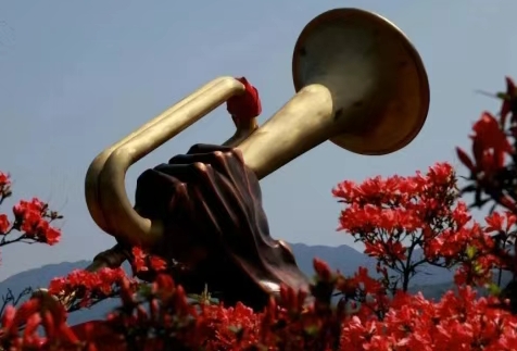 江西杜鵑盛放，探秘高山花海絕美景觀｜暮春賞花指南