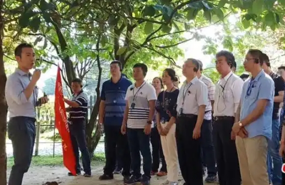 外企員工適應(yīng)井岡山紅色團(tuán)建嗎？ 外企井岡山團(tuán)建指南